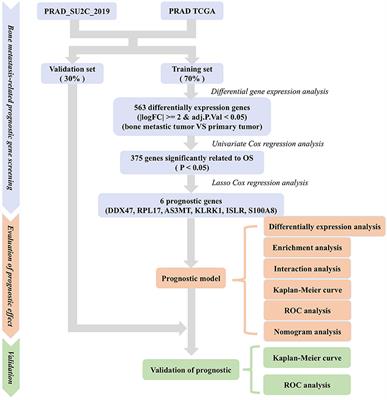 A Novel Overall Survival Prediction Signature Based on Comprehensive Research in Prostate Cancer Bone Metastases